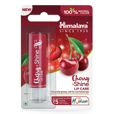 https://cdn.shopify.com/s/files/1/1857/6931/products/f8L81W7SqF.jpg?v=1671194644